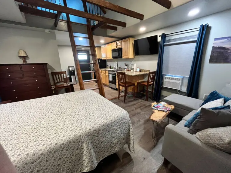 173199 449537 SSOE97dbI5 DVRraXcJI7YLMju6TiwdxgPD3KGkxzFc 690a09c80318c.jpg