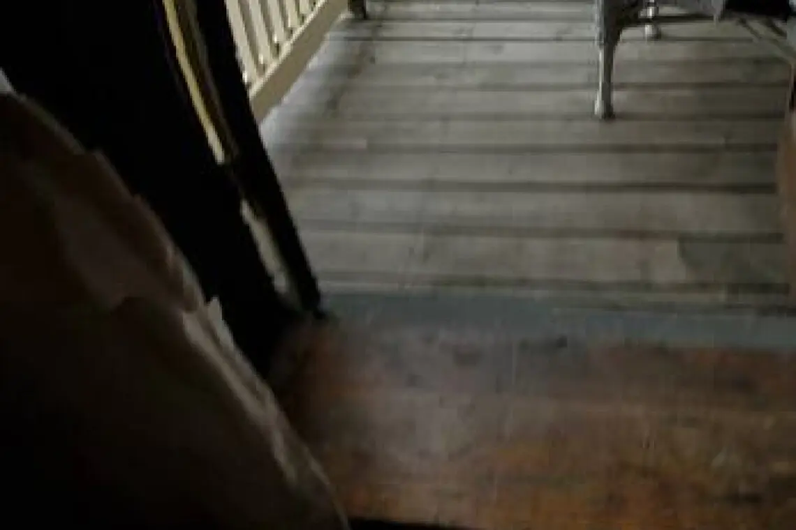 173199 449539 Zkwgtjy0jq4RU7 uUeCs gtewEfj6PDgPf39Pwfbxa0 690a0939a11d9.jpg